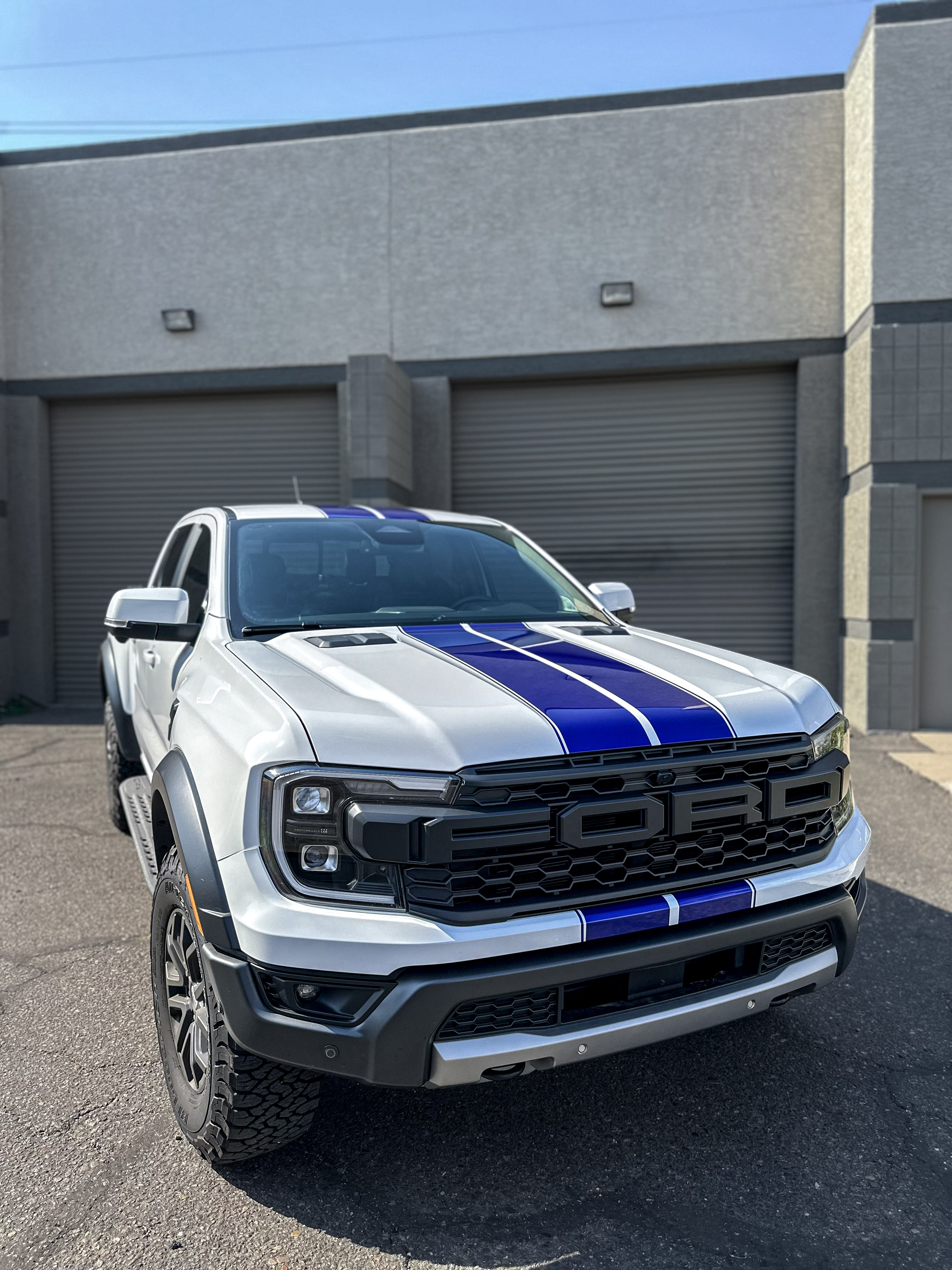 Racing Stripes