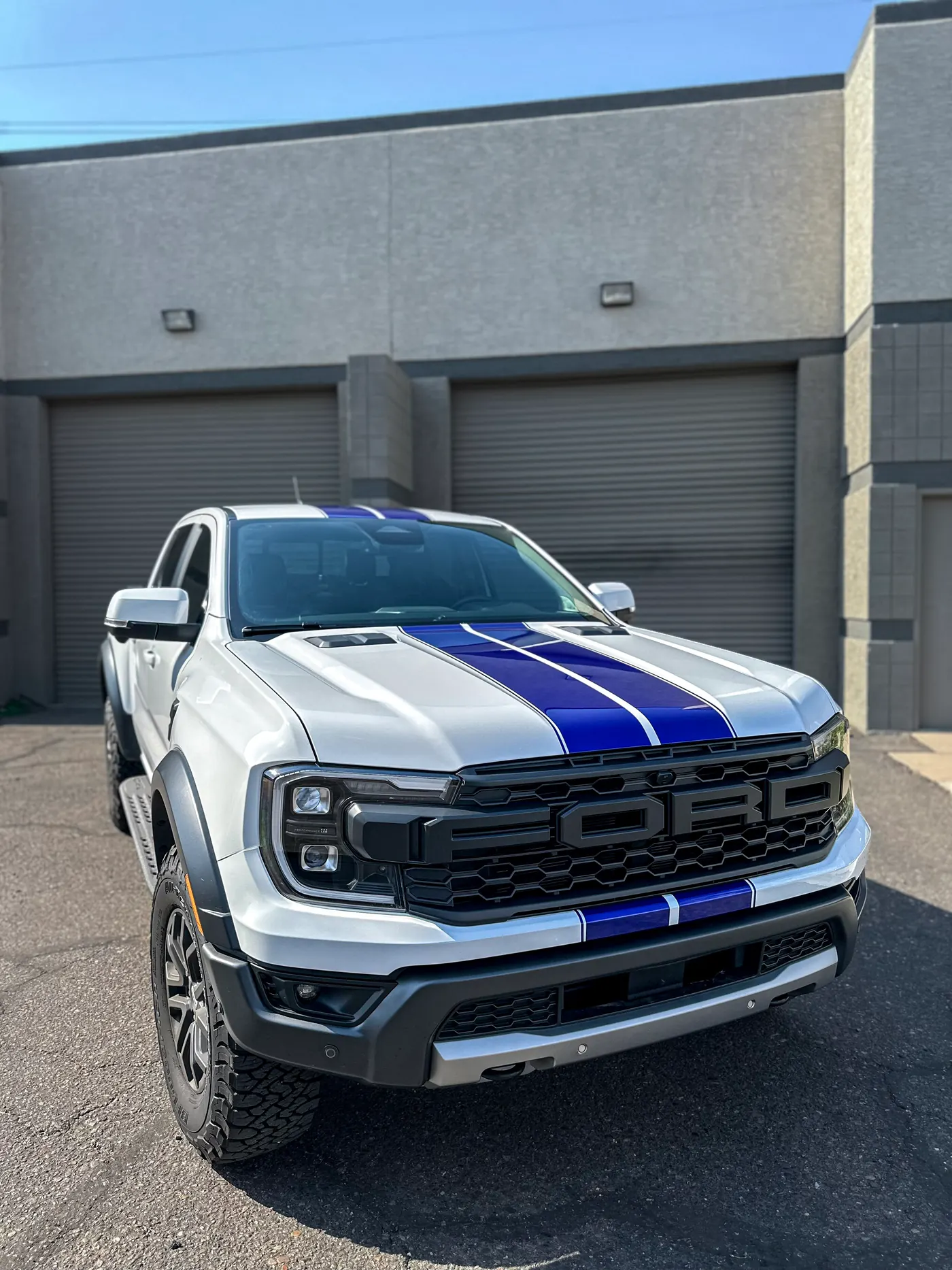 Racing Stripes